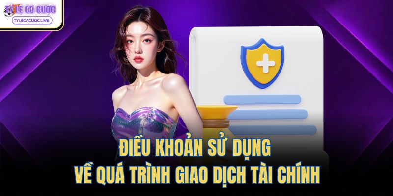 Điều khoản sử dụng về quá trình giao dịch tài chính