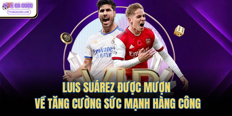 Luis Suárez được mượn về tăng cường sức mạnh hàng công