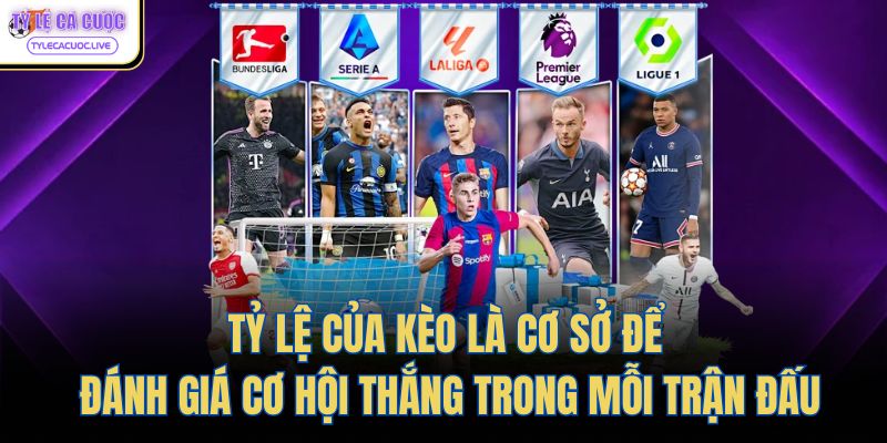 Tỷ lệ của kèo là cơ sở để đánh giá cơ hội thắng trong mỗi trận đấu